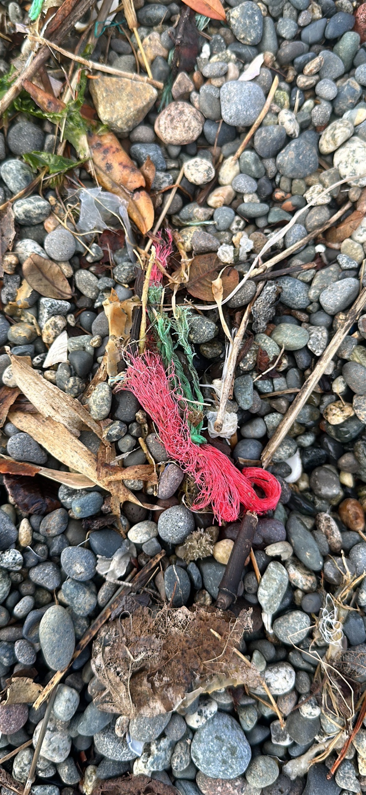 Ghost gear report — netting on pebbles